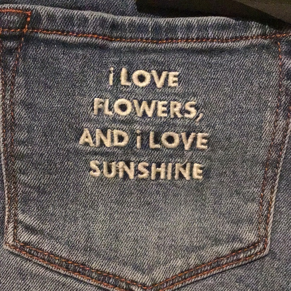 April Shorts - Picture 5 of 5